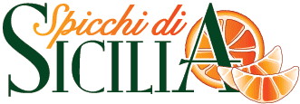 Spicchi di Sicilia, vere arance di Sicilia on-line, da comprare e ricevere direttamente a casa tua